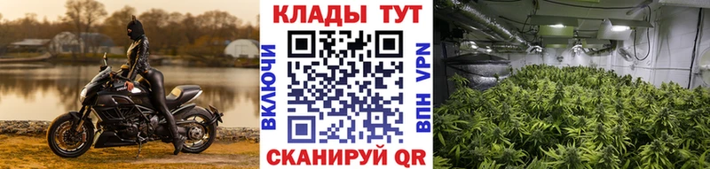 Цена Гвардейск гидра как войти  Галлюциногенные грибы  Бошки Шишки  Кокаин 