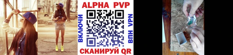 OMG вход  Гвардейск  APVP СК 