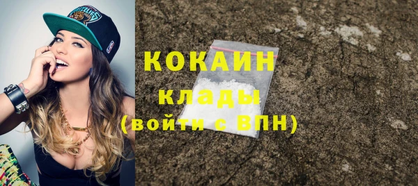 гашик Алексин