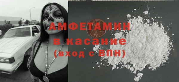 гашик Алексин