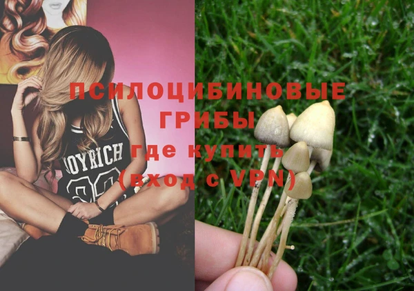 гидра Алексеевка