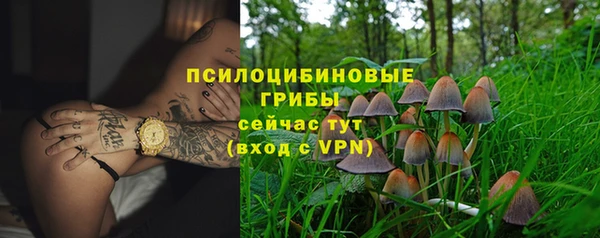 гидра Алексеевка
