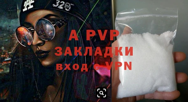гашик Алексин