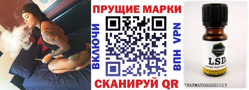 darknet наркотические препараты  Гвардейск  Наркотические марки 1500мкг 