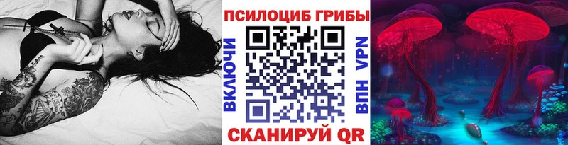 где купить   Гвардейск  Псилоцибиновые грибы ЛСД 