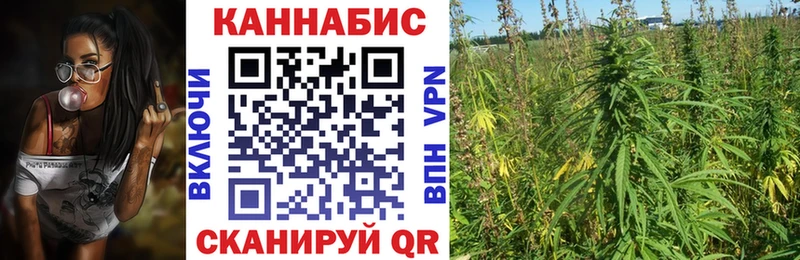 Марихуана OG Kush  закладка  Гвардейск 